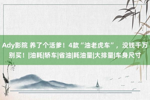 Ady影院 养了个活爹！4款“油老虎车”，没钱千万别买！|油耗|轿车|省油|耗油量|大排量|车身尺寸