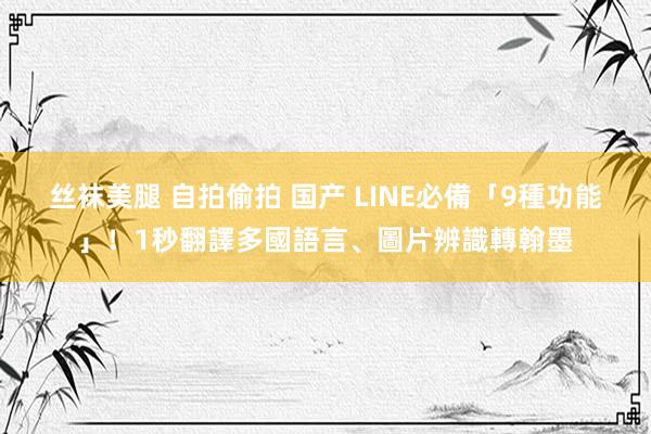 丝袜美腿 自拍偷拍 国产 LINE必備「9種功能」！1秒翻譯多國語言、圖片辨識轉翰墨