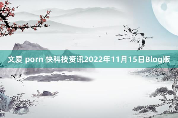 文爱 porn 快科技资讯2022年11月15日Blog版